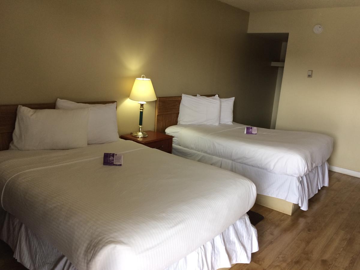 Nice Inn Έντμοντον Εξωτερικό φωτογραφία