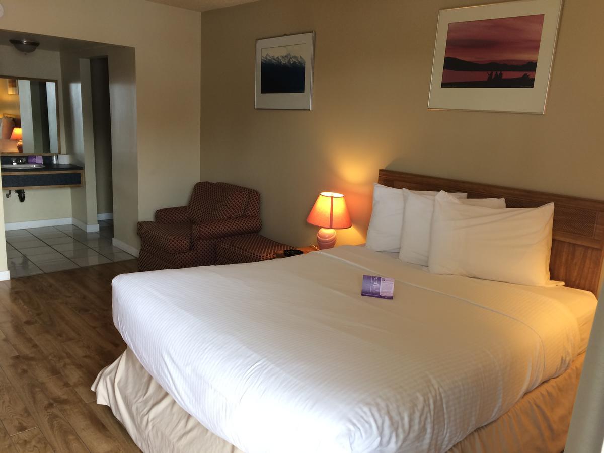 Nice Inn Έντμοντον Εξωτερικό φωτογραφία