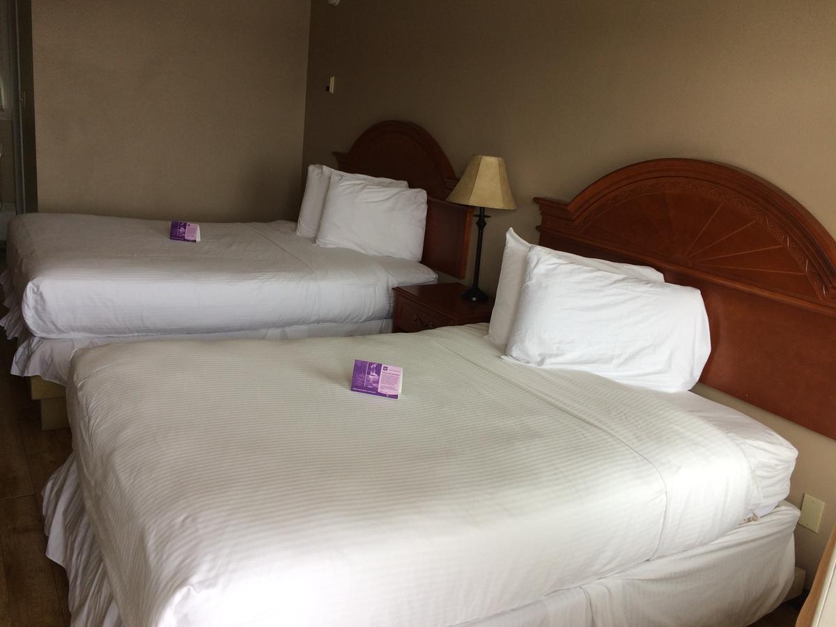 Nice Inn Έντμοντον Εξωτερικό φωτογραφία